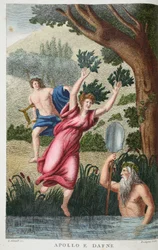 Phoebus und Daphne oder Apollo e Dafne, Illustration aus Ovids Metamorphosen, Florenz, 1832